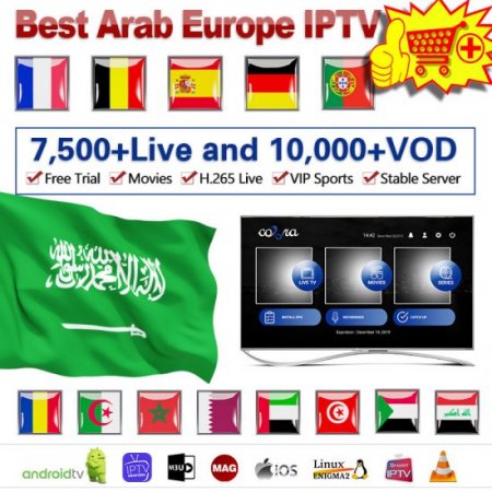 12 Months Cobra Stable IPTV Server M3U France Europe Smarters Pro Code