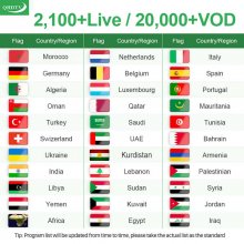 IPTV BOX Leadcool R1 Smart Tv Android 9.0 IPTV France Arabic French Amlogic S905W media player 4K H.265 2.4G Wifi Rom set top box Leadcool R1 With 1 Year QHDTV Code IPTV Subscription